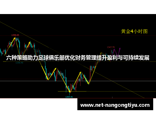 六种策略助力足球俱乐部优化财务管理提升盈利与可持续发展