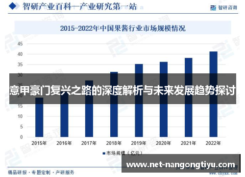 意甲豪门复兴之路的深度解析与未来发展趋势探讨
