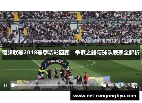 葡超联赛2018赛季精彩回顾：争冠之路与球队表现全解析