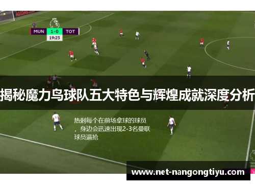 揭秘魔力鸟球队五大特色与辉煌成就深度分析