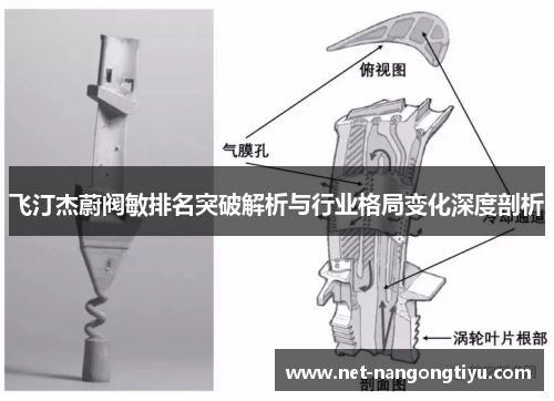 飞汀杰蔚阀敏排名突破解析与行业格局变化深度剖析